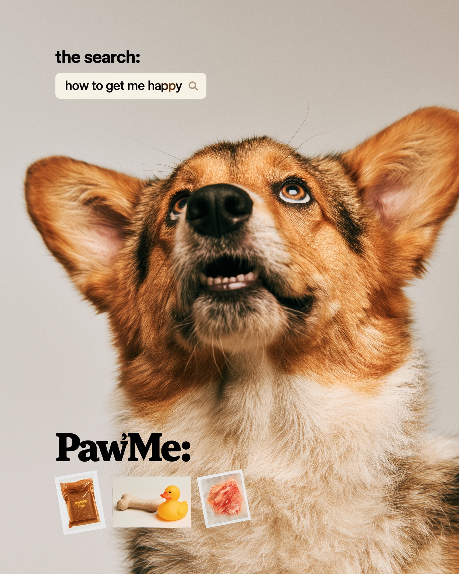 PawMe brand ad: a corgi photographed from below with the line “the search: how to get me happy”